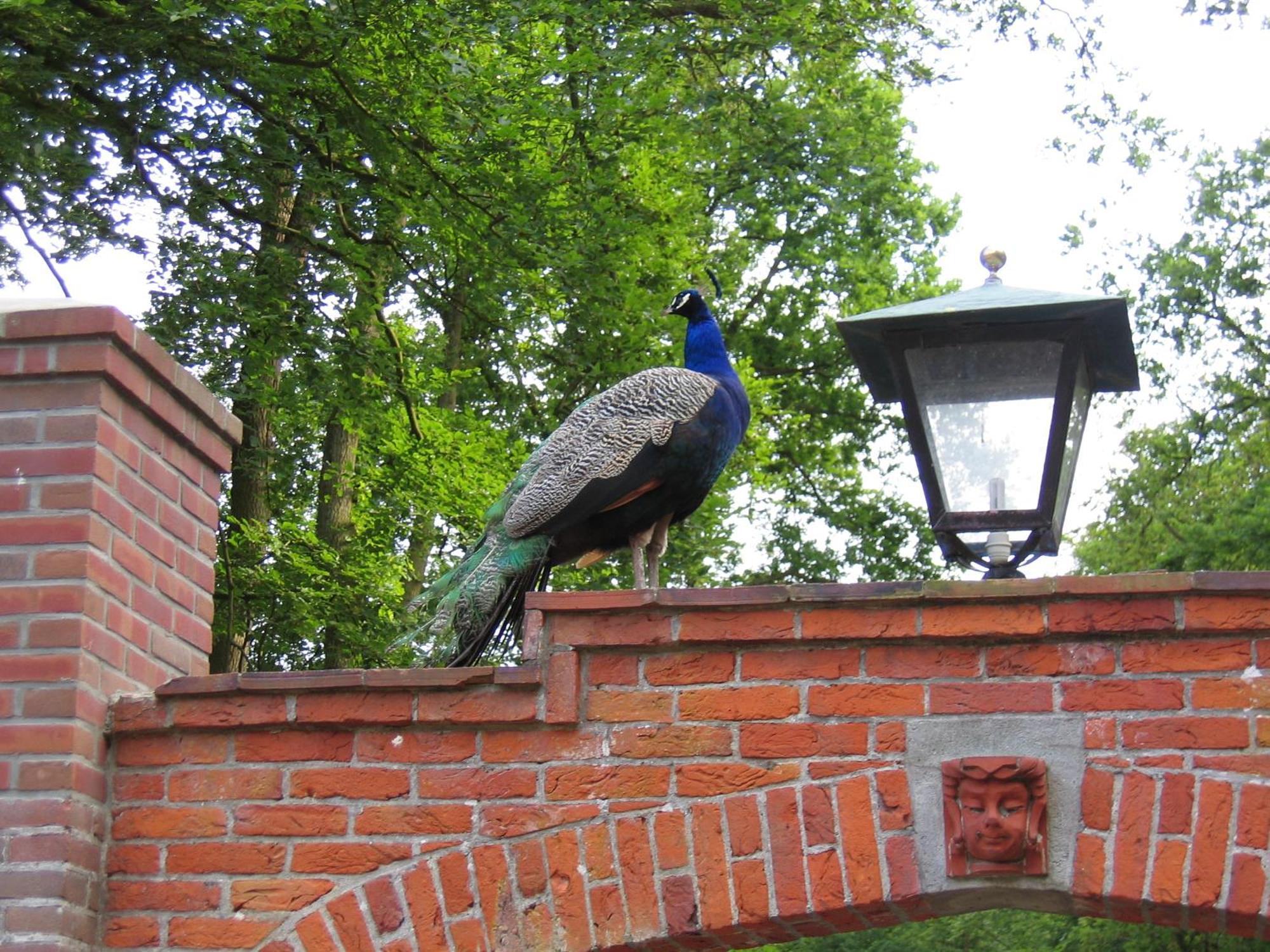 הילברסום Londons Cottage מראה חיצוני תמונה